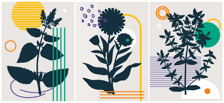 Collage style summer flowers vector illustration. Hand-sketched floral banner. Trendy design with botanical, geometric shapes, and abstract elements. For print, poster, card, social media, wall art.
